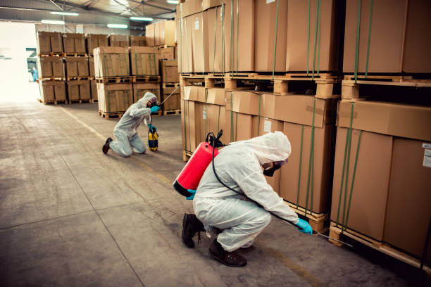 Best Pest Removal Services  in Key Center, WA