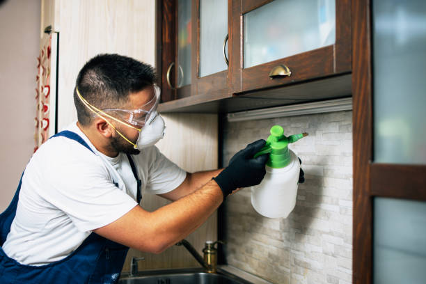 Best Cockroach Control Services  in Key Center, WA