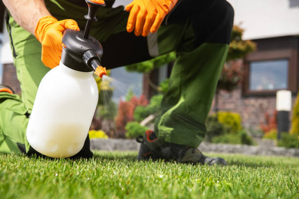 Best Pest Control Cost  in Key Center, WA