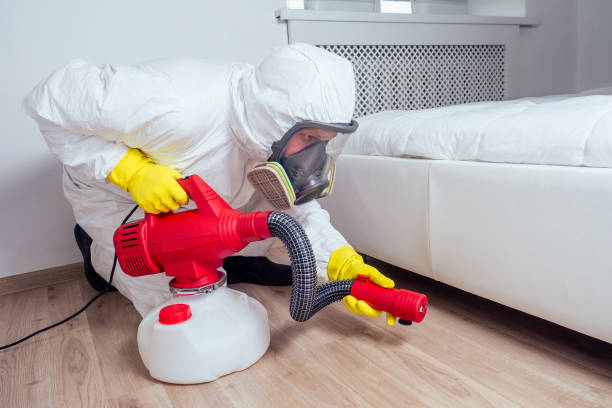 Wasp Removal Services in Key Center, WA