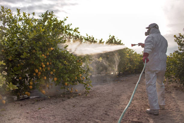 Pest Control Cost in Key Center, WA
