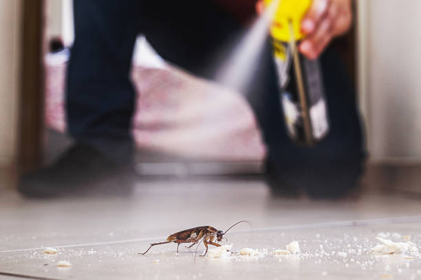 Trusted Key Center, WA Pest Control Experts